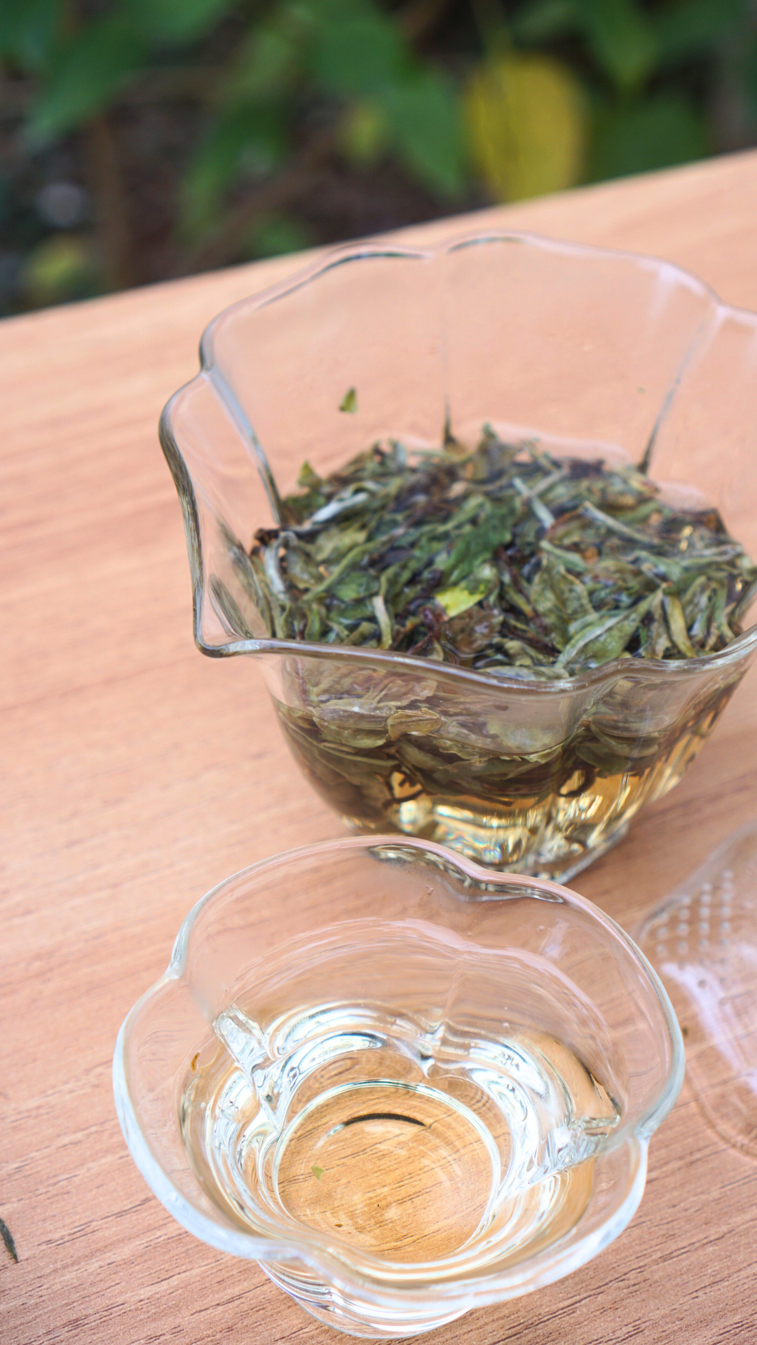 Top Grade Zheng He Bai Mu Dan