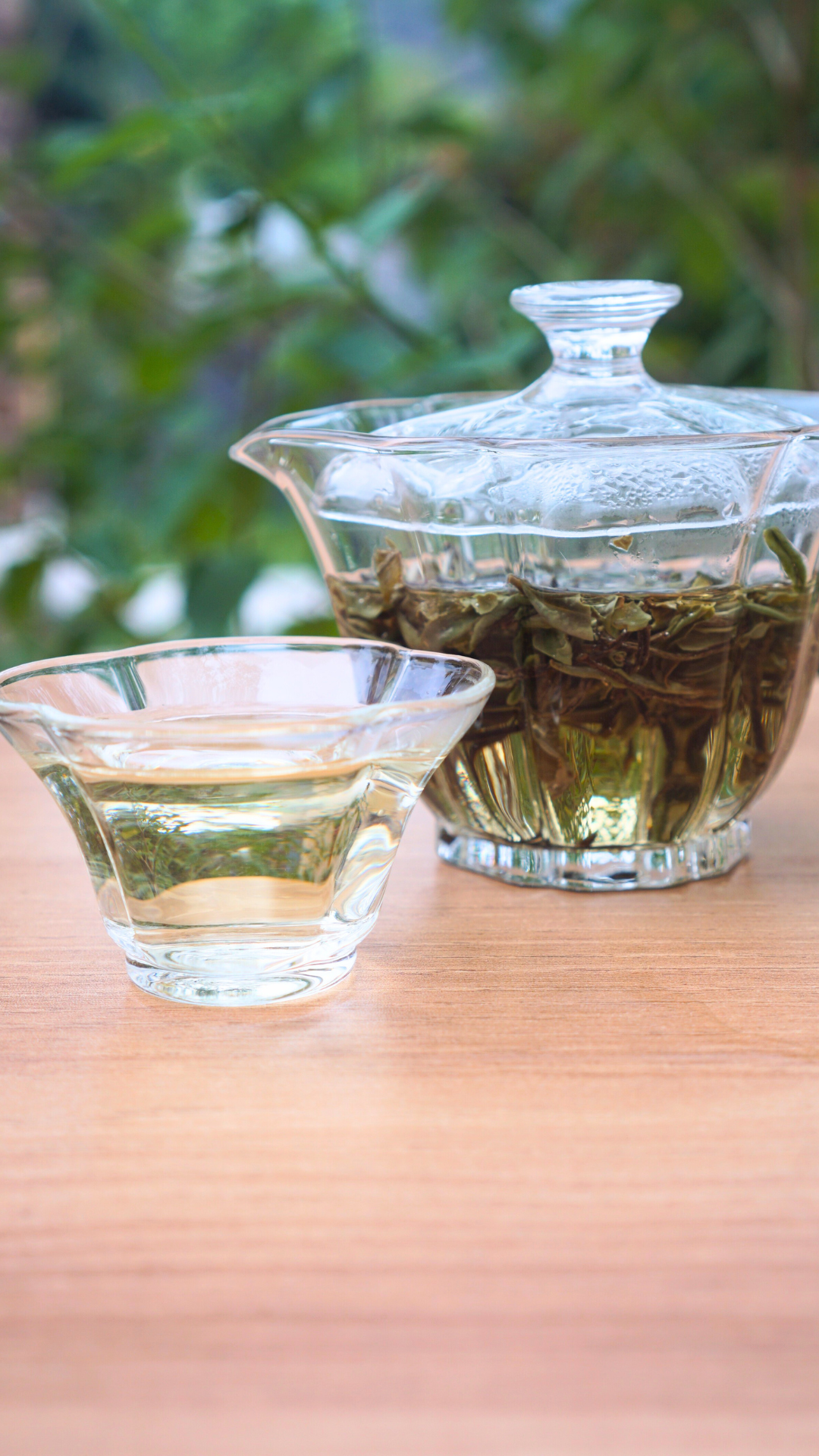 Top Grade Zheng He Bai Mu Dan