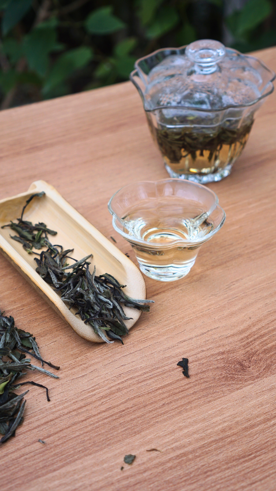 Top Grade Zheng He Bai Mu Dan