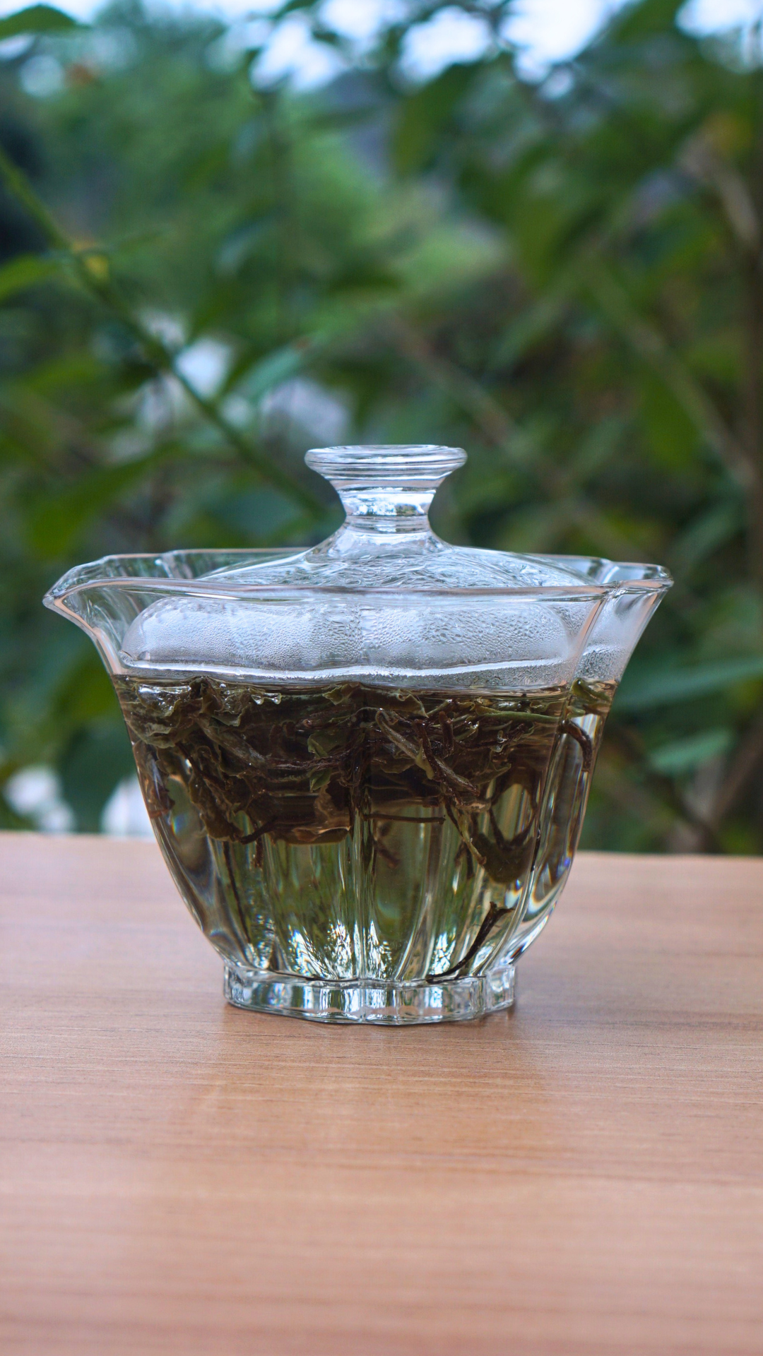 Top Grade Zheng He Bai Mu Dan
