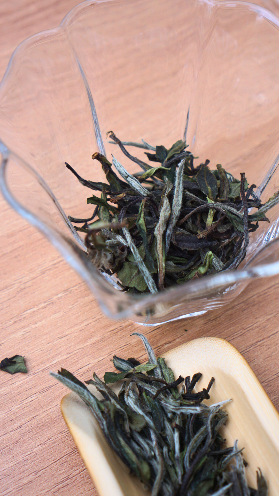 Top Grade Zheng He Bai Mu Dan
