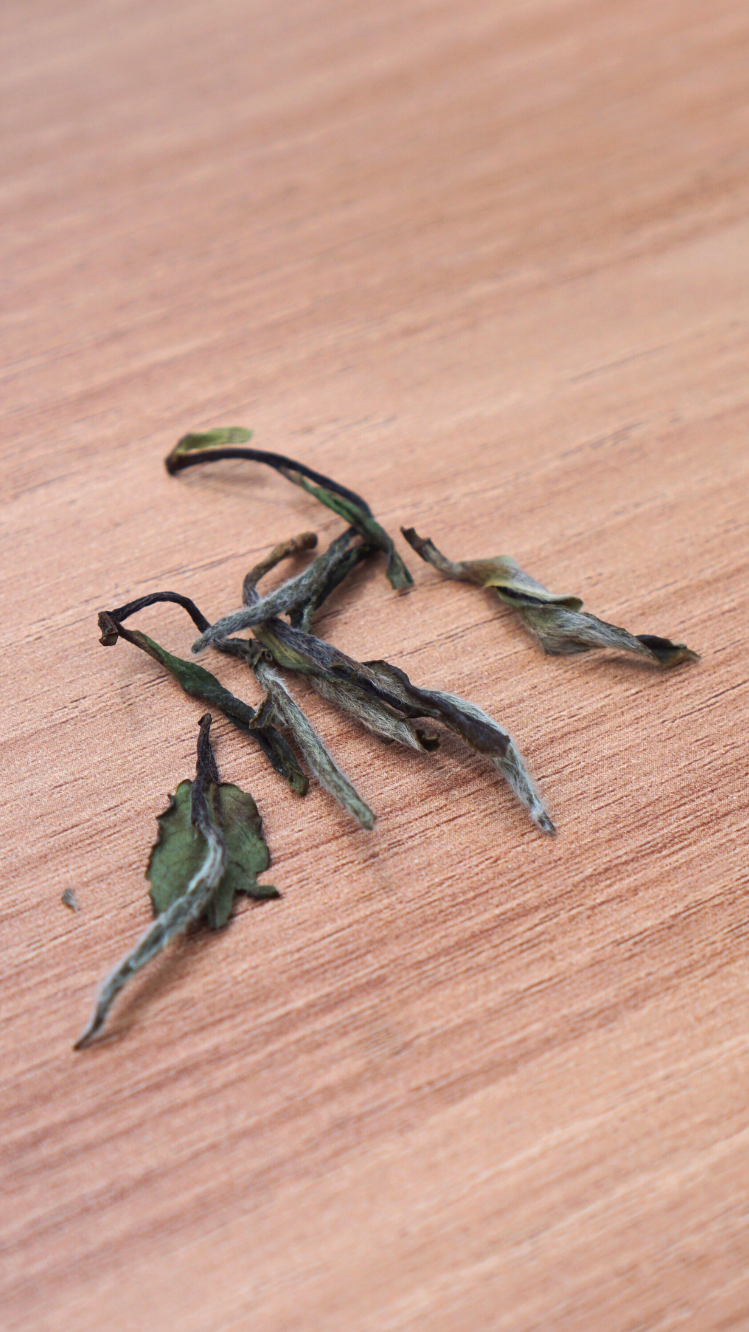 Top Grade Zheng He Bai Mu Dan