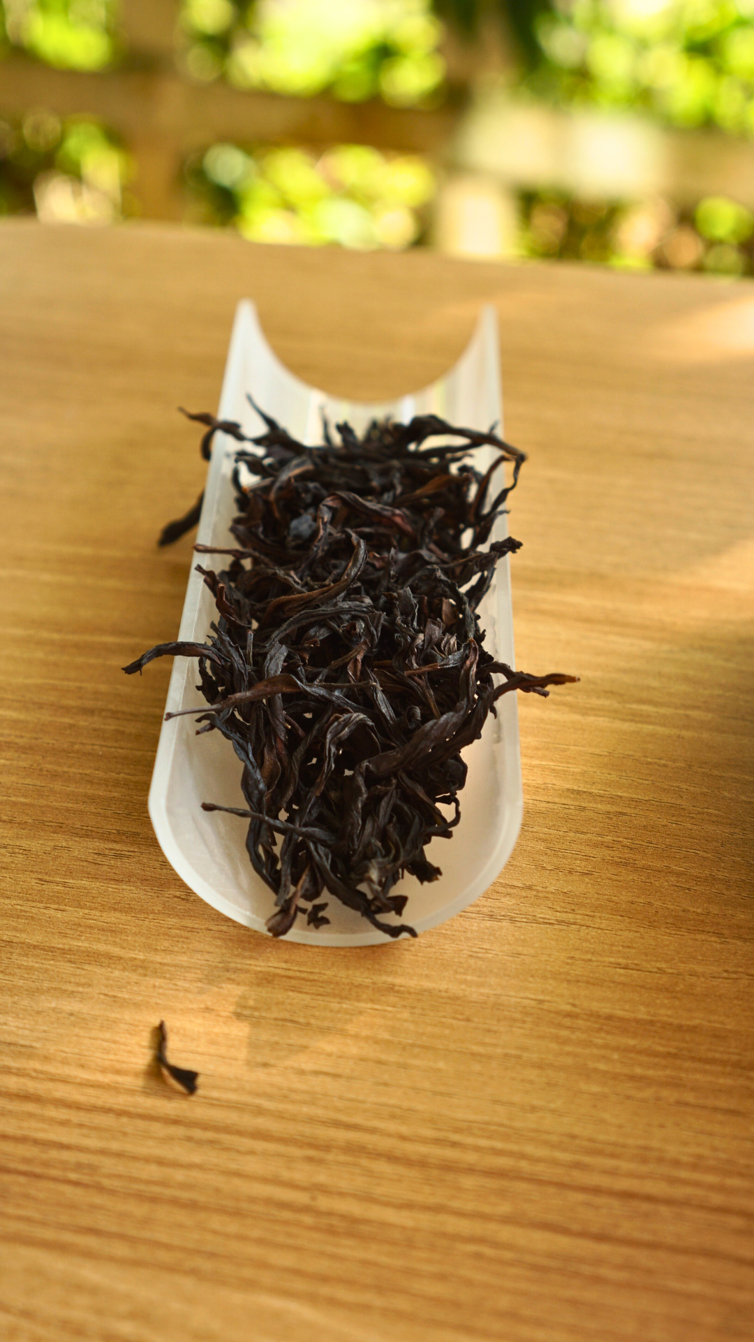 Wudong High-Mountain Song Zhong