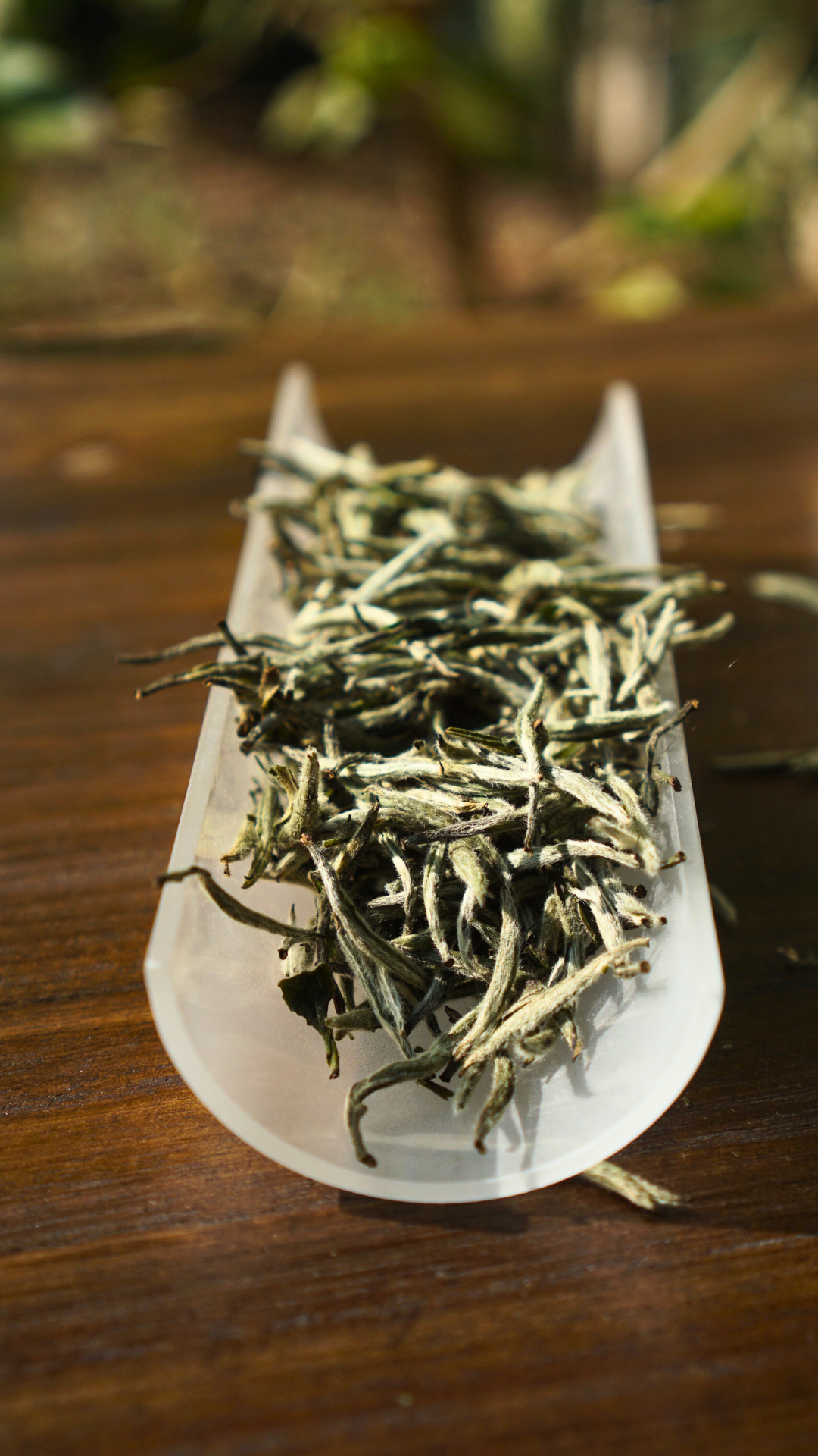 Zheng He Bai Hao Yin Zhen