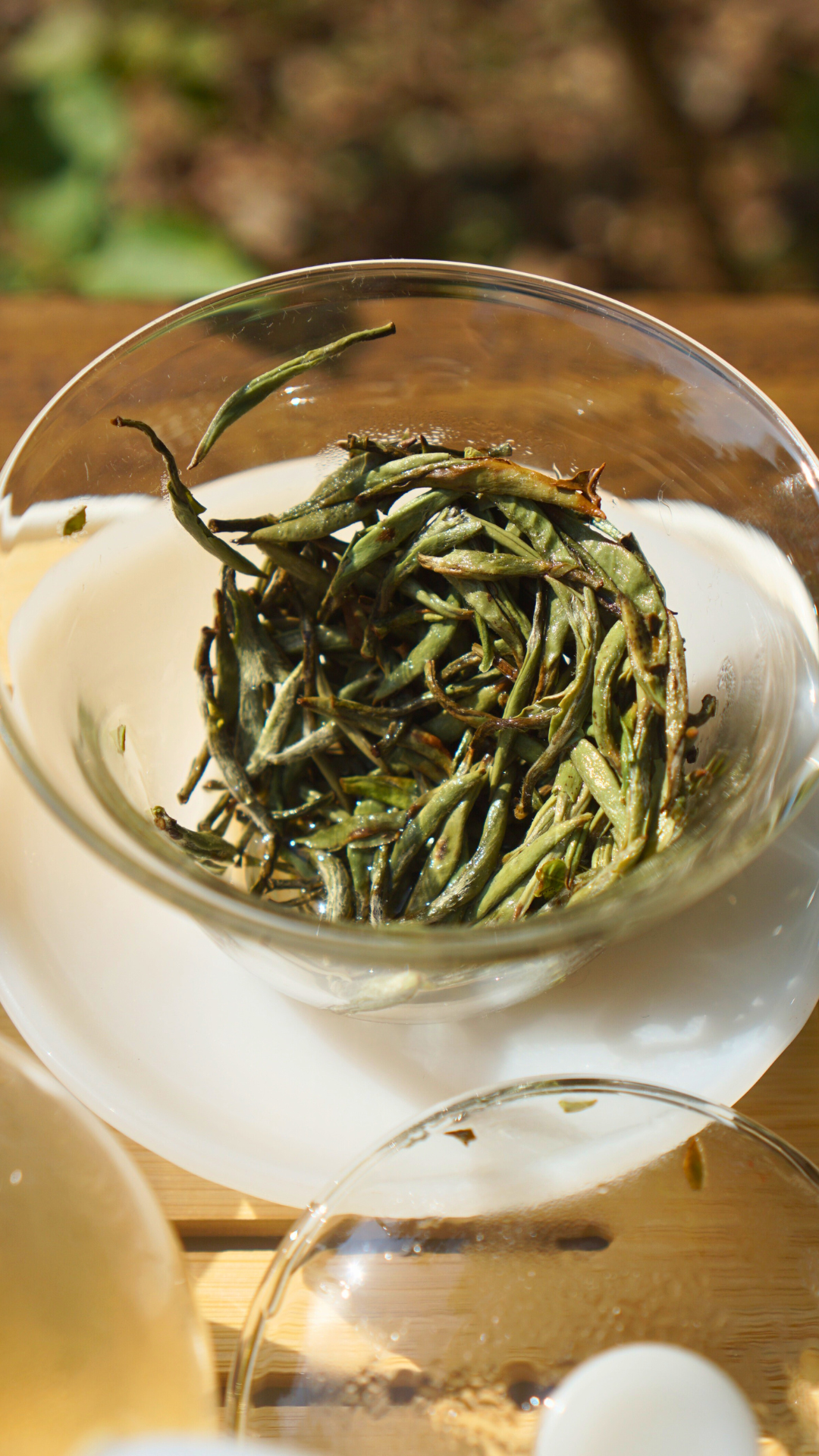 Zheng He Bai Hao Yin Zhen