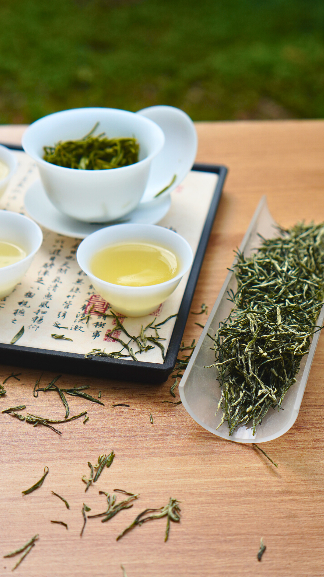 Emei Maojian-Snow Buds