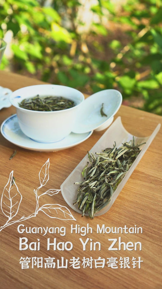 Guanyang High Mountain Old Tea Tree Bai Hao Yin Zhen