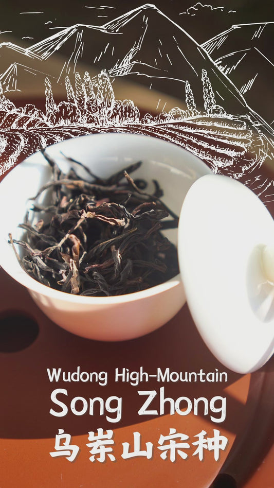Wudong High-Mountain Song Zhong