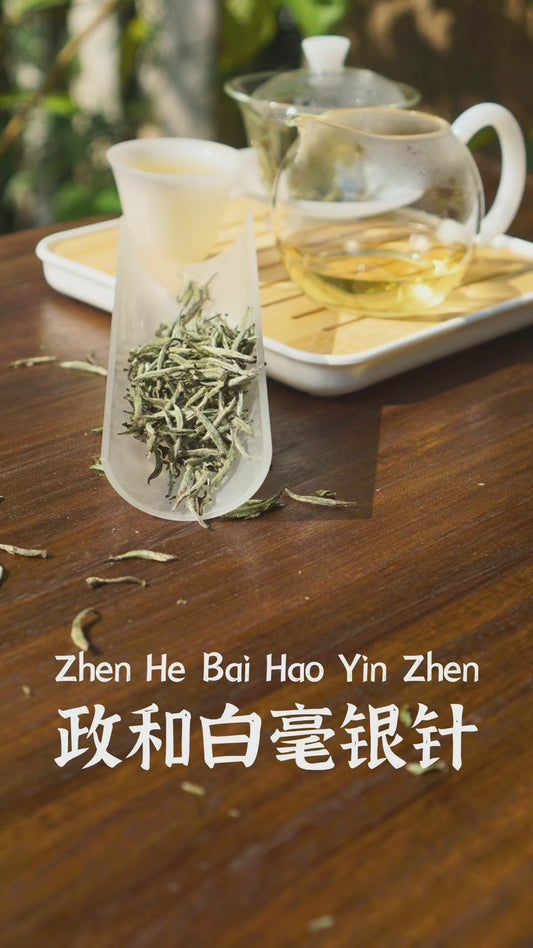Zheng He Bai Hao Yin Zhen