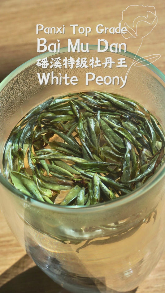 Panxi Top Grade Bai Mu Dan