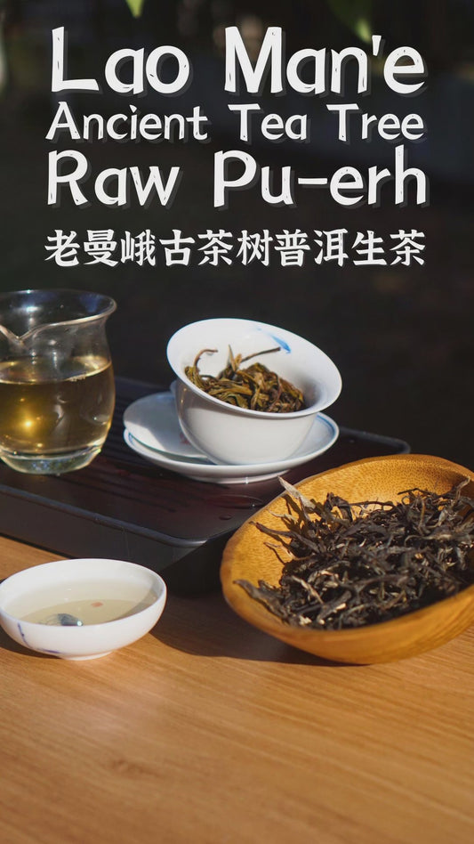 Lao Man'e Ancient Tea Tree Raw Pu-erh