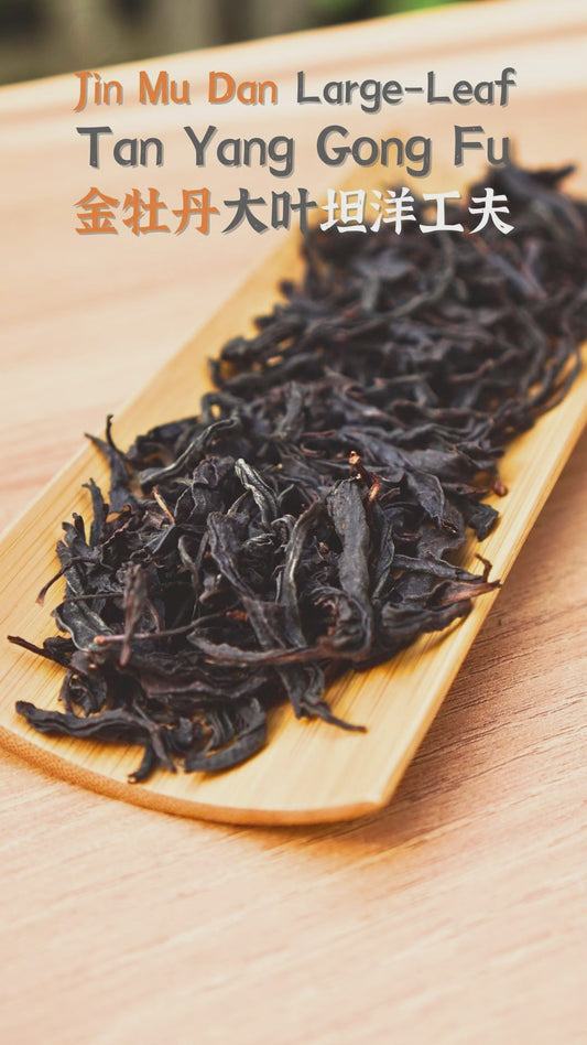 Jin Mu Dan Large-Leaf Tan Yang Gong Fu