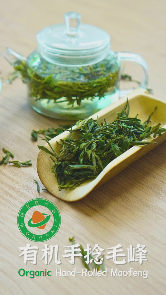 🌱Organic Hand-Rolled Maofeng