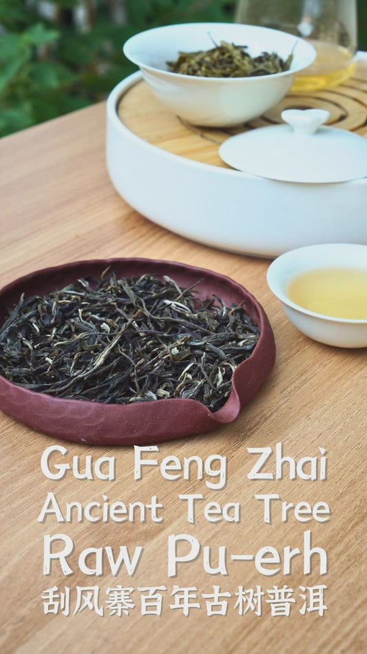 Gua Feng Zhai Ancient Tea Tree Raw Pu-erh