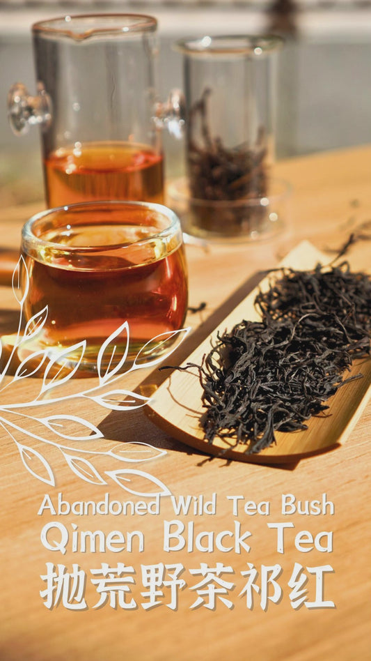 Abandoned Wild Tea Bush Qimen Black Tea