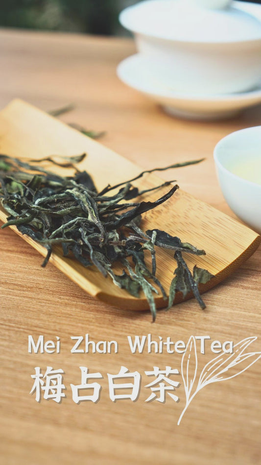 Mei Zhan White Tea