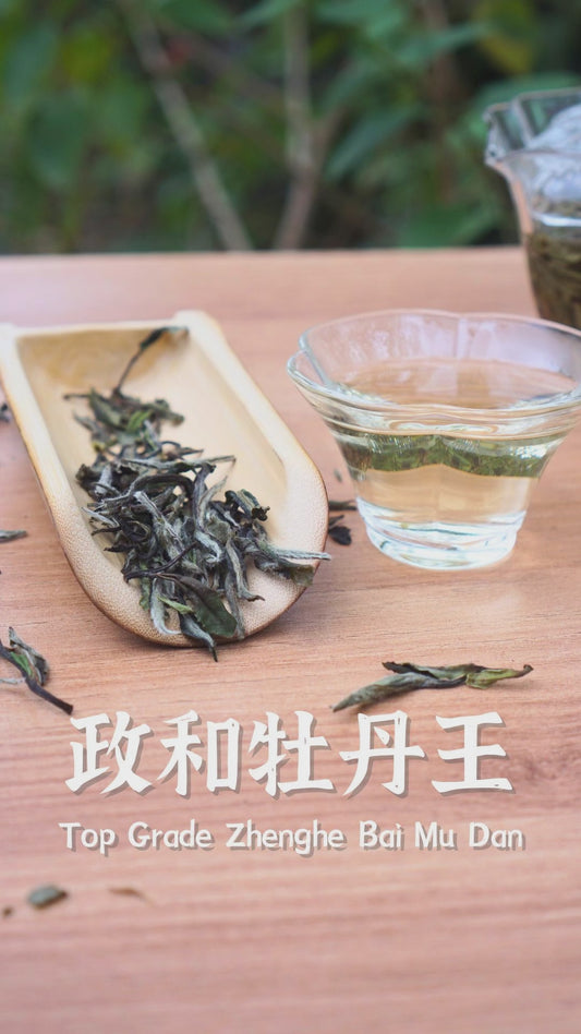Top Grade Zheng He Bai Mu Dan
