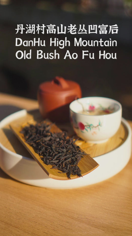 DanHu High Mountain Old Bush Ao Fu Hou
