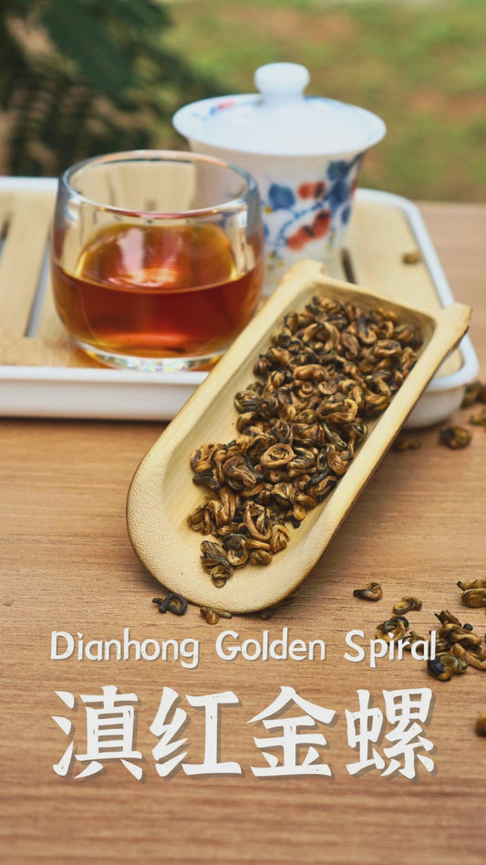Dianhong Golden Spiral