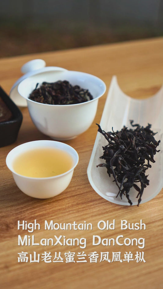 High Mountain Old Bush Mi Lan Xiang