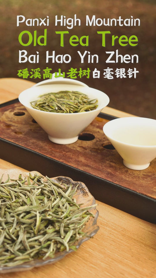Panxi Deep Mountain Bai Hao Yin Zhen