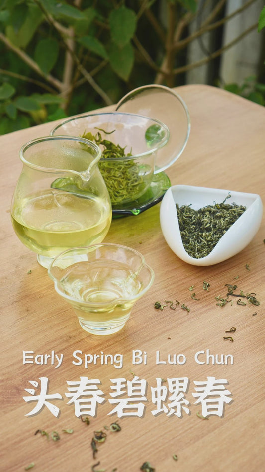 Early Spring Bi Luo Chun