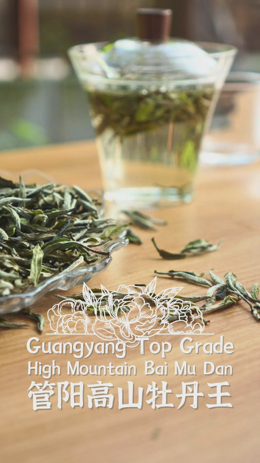 Guangyang Top Grade High Mountain Bai Mu Dan