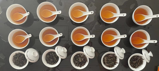The Grades of Wu Yi Oolong Tea