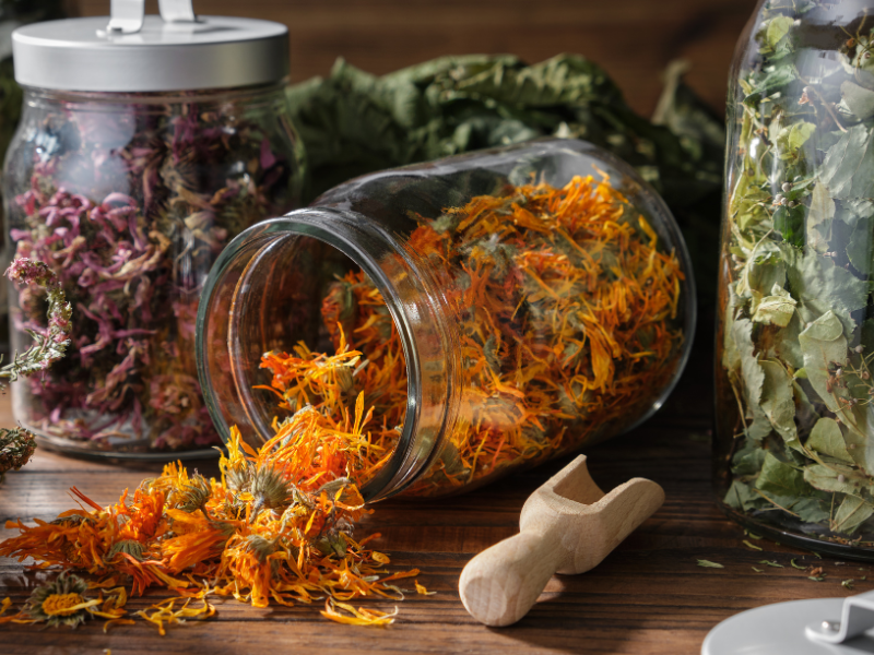 How to Store Herbal and Dry Flowers