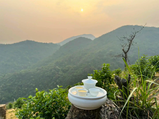 The Origin of Fenghuang Dancong