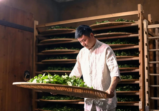 Six Main Processing Techniques of Dancong