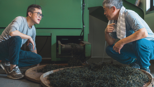 Pu-erh Process and Oxidation