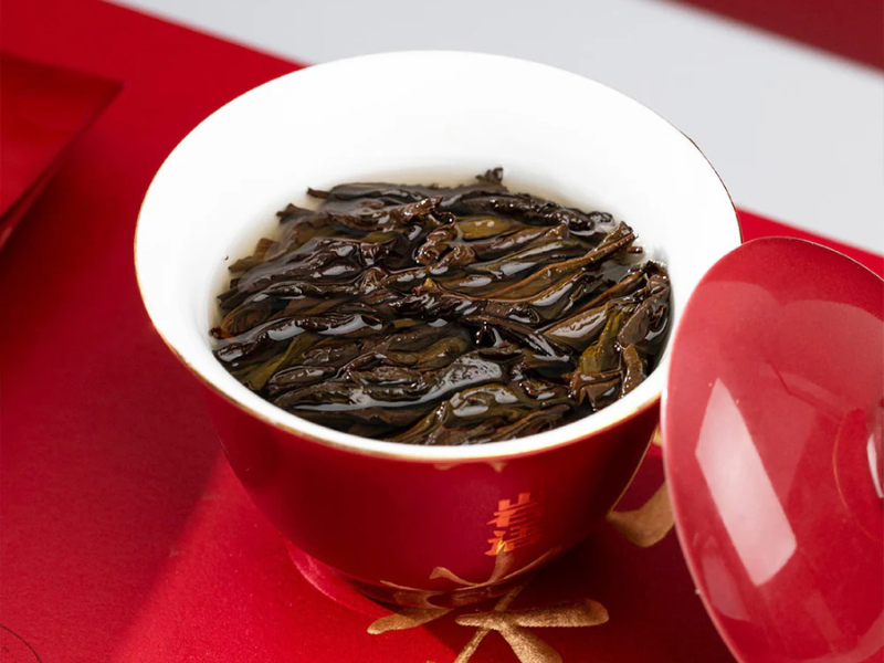 Shui Jin Gui-Golden Turtle – ESGREEN