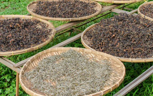 White Tea Storage