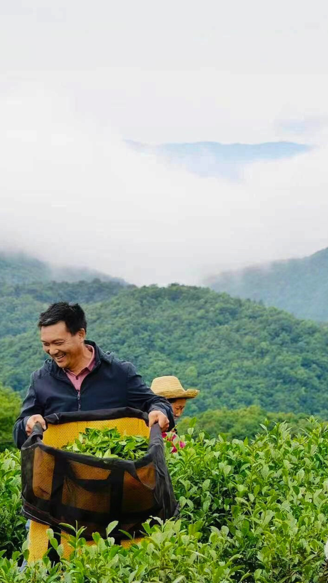 Ping Cun Yihong Gongfu Black Tea