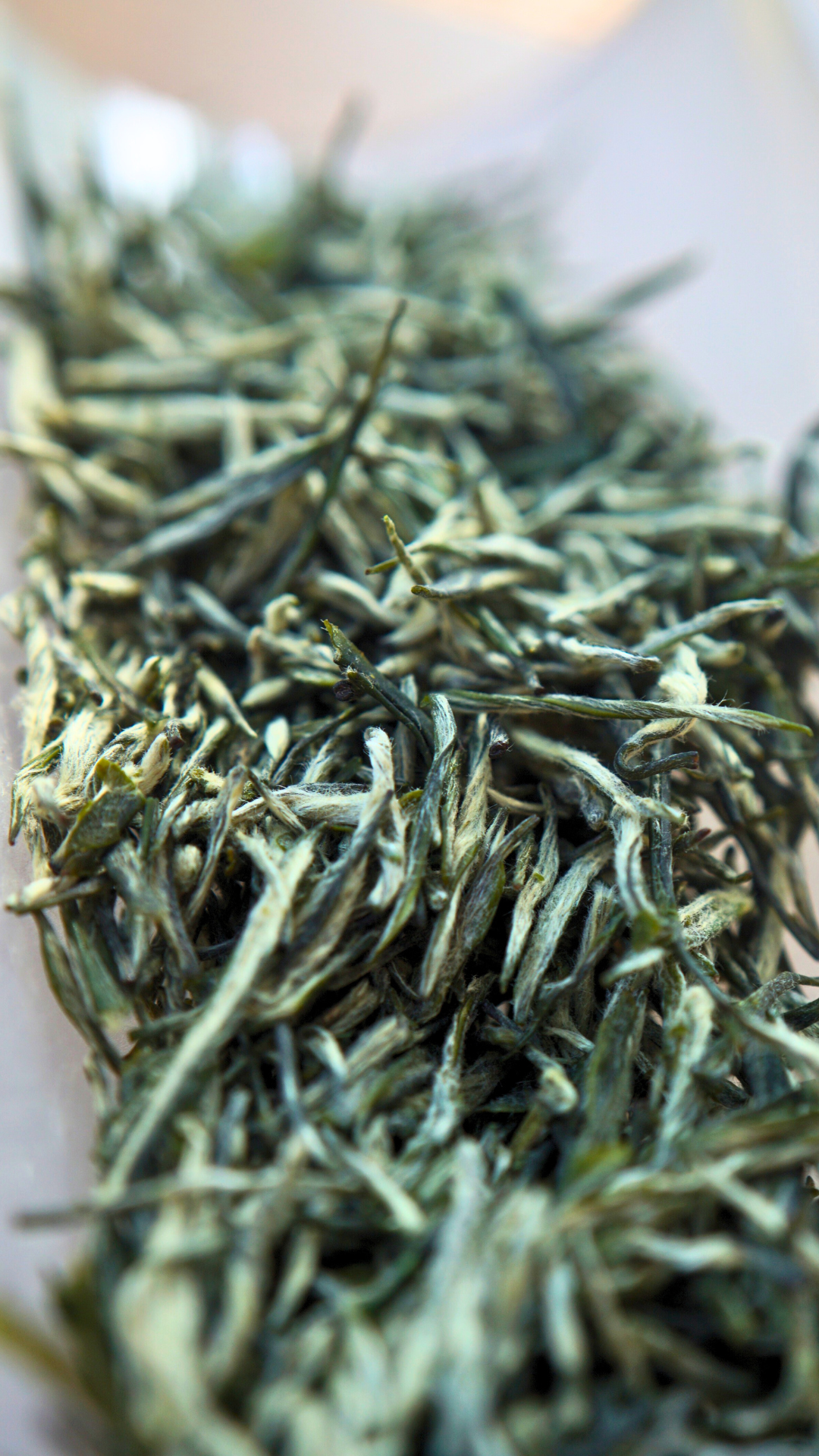 邓村绿茶特级绒毛芽