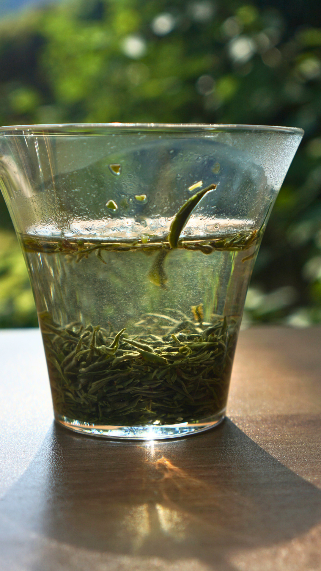 邓村绿茶特级绒毛芽
