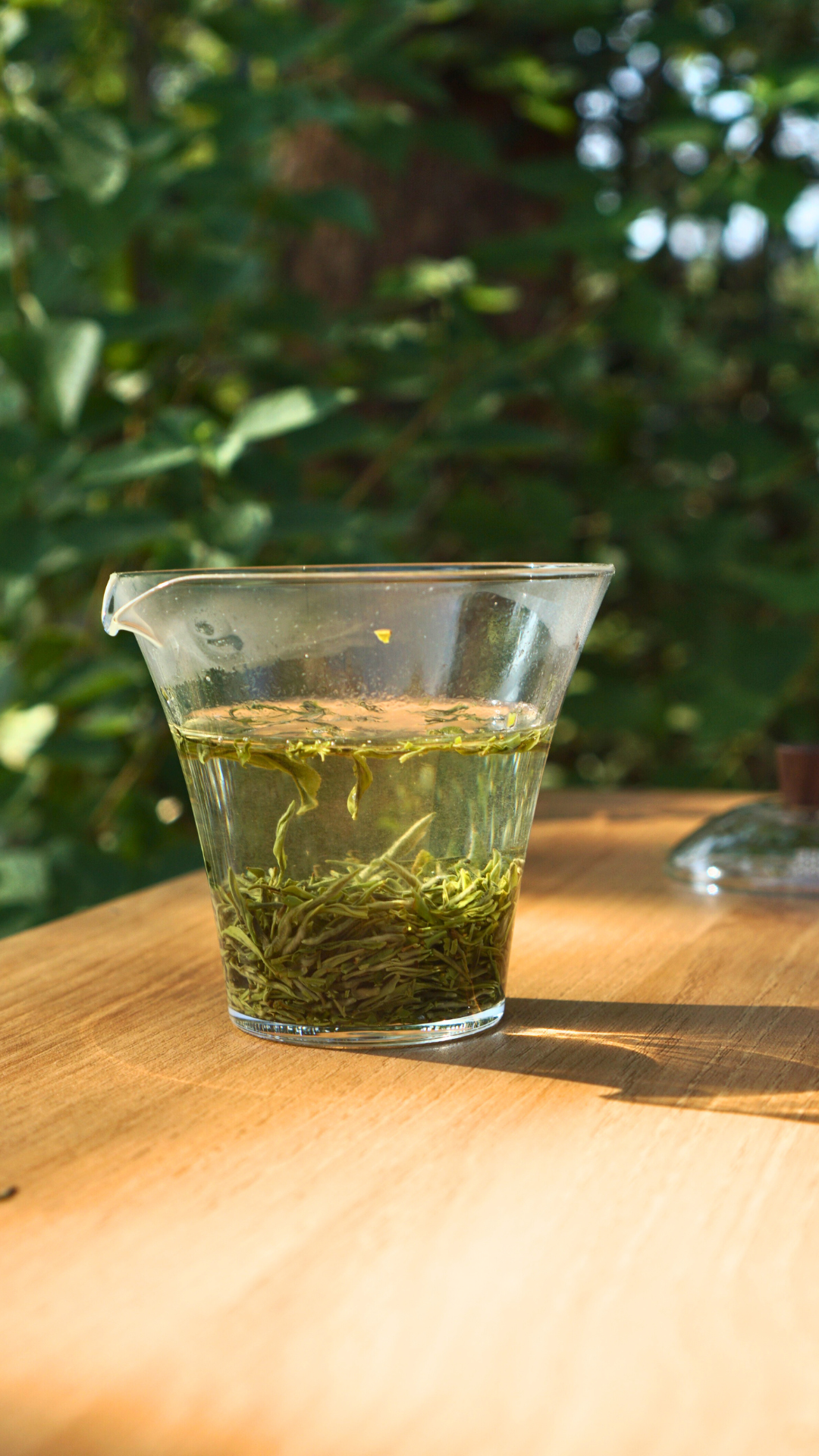 邓村绿茶特级绒毛芽