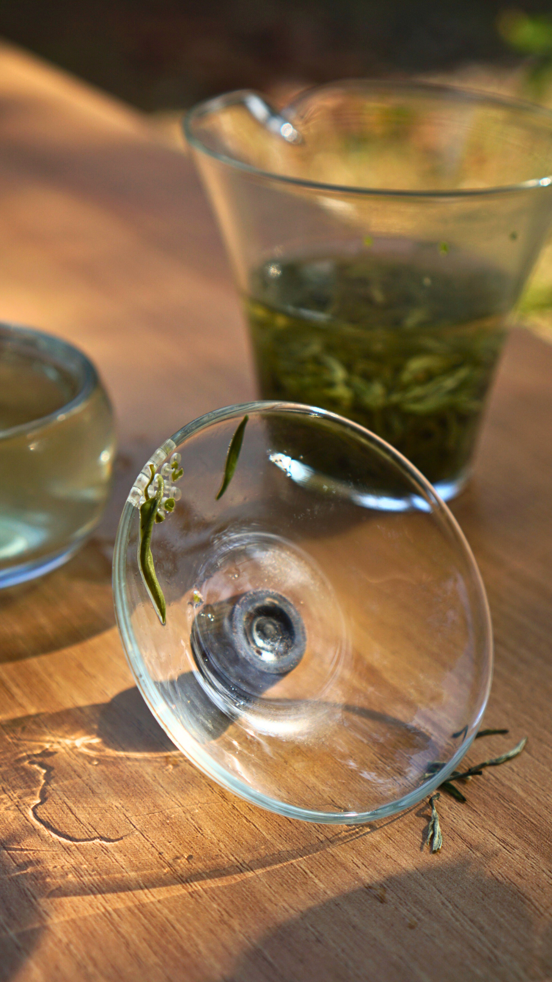 邓村绿茶特级绒毛芽