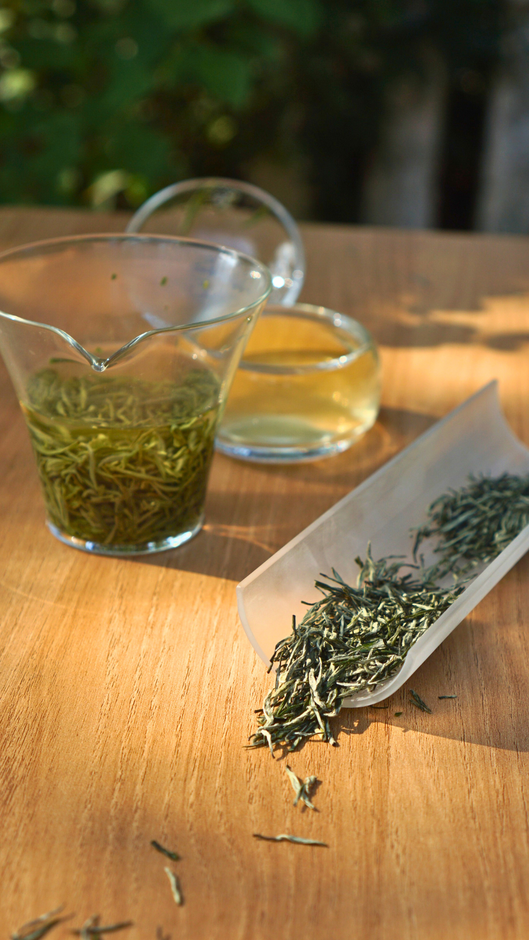 邓村绿茶特级绒毛芽
