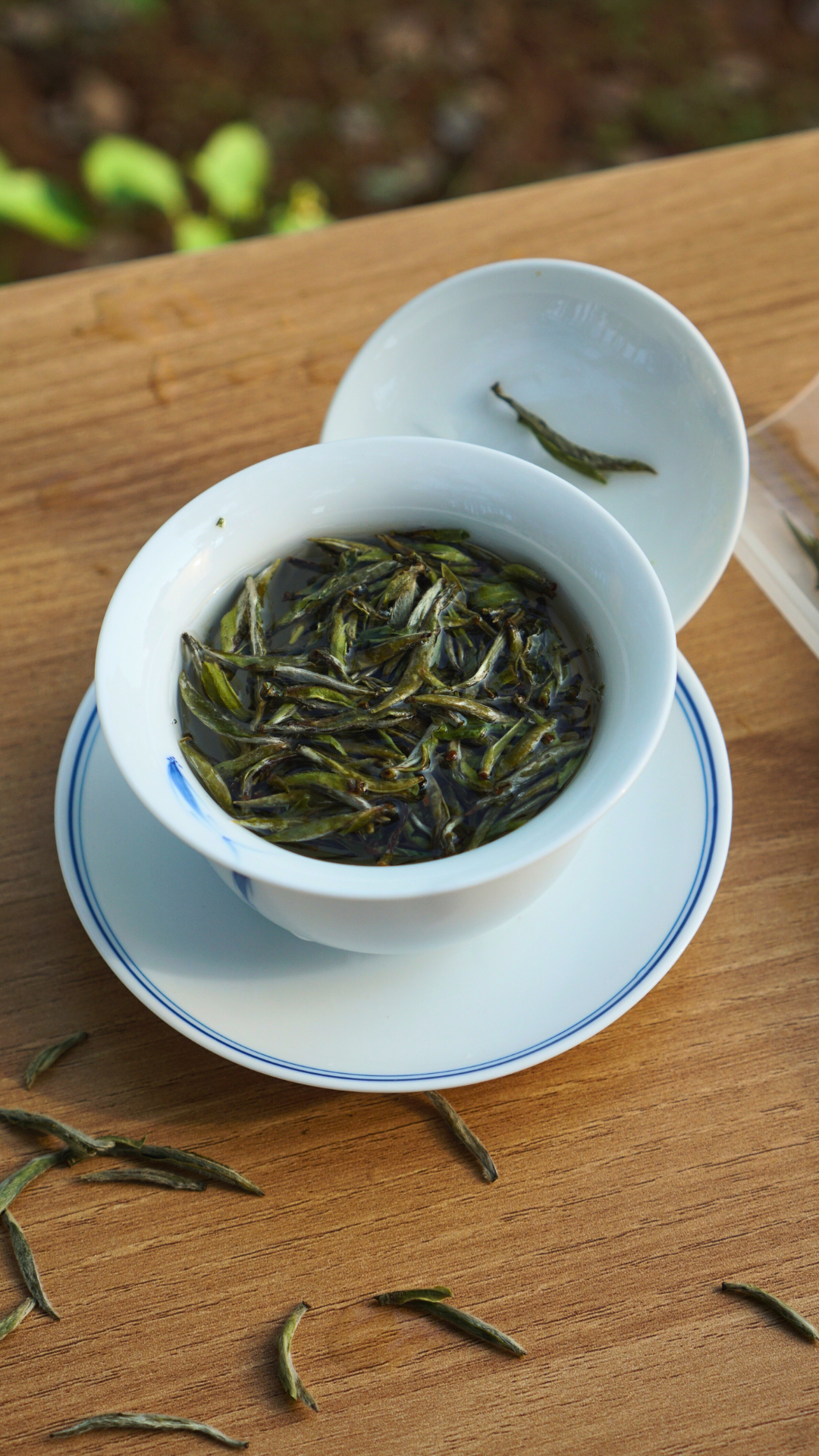 灌阳高山老茶树白毫银针