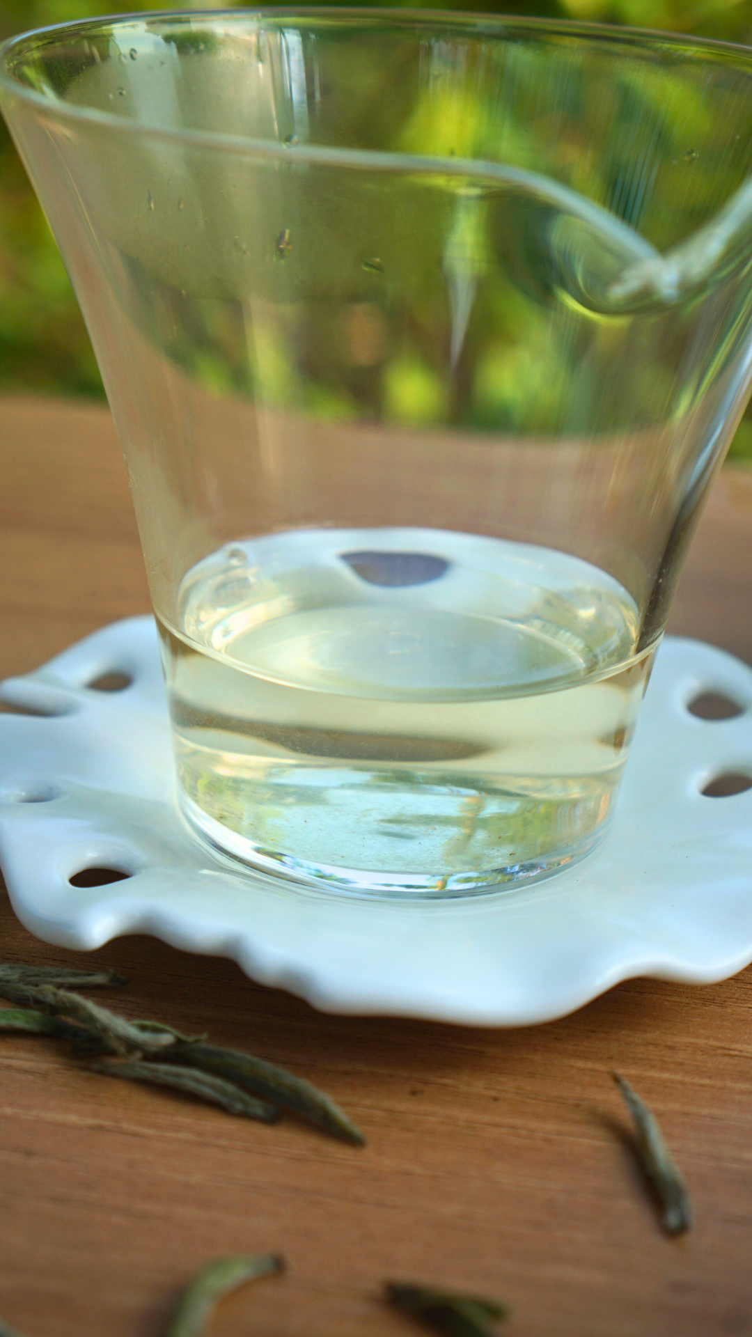 灌阳高山老茶树白毫银针