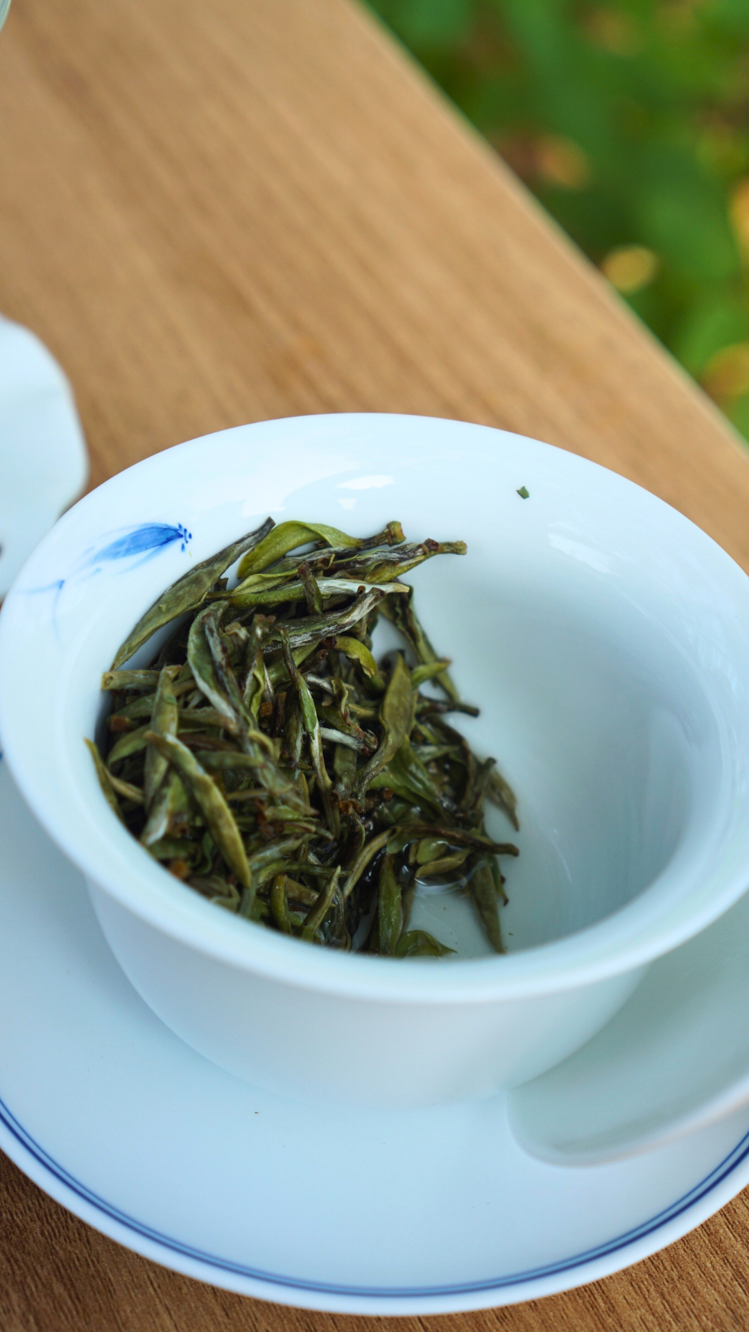 灌阳高山老茶树白毫银针