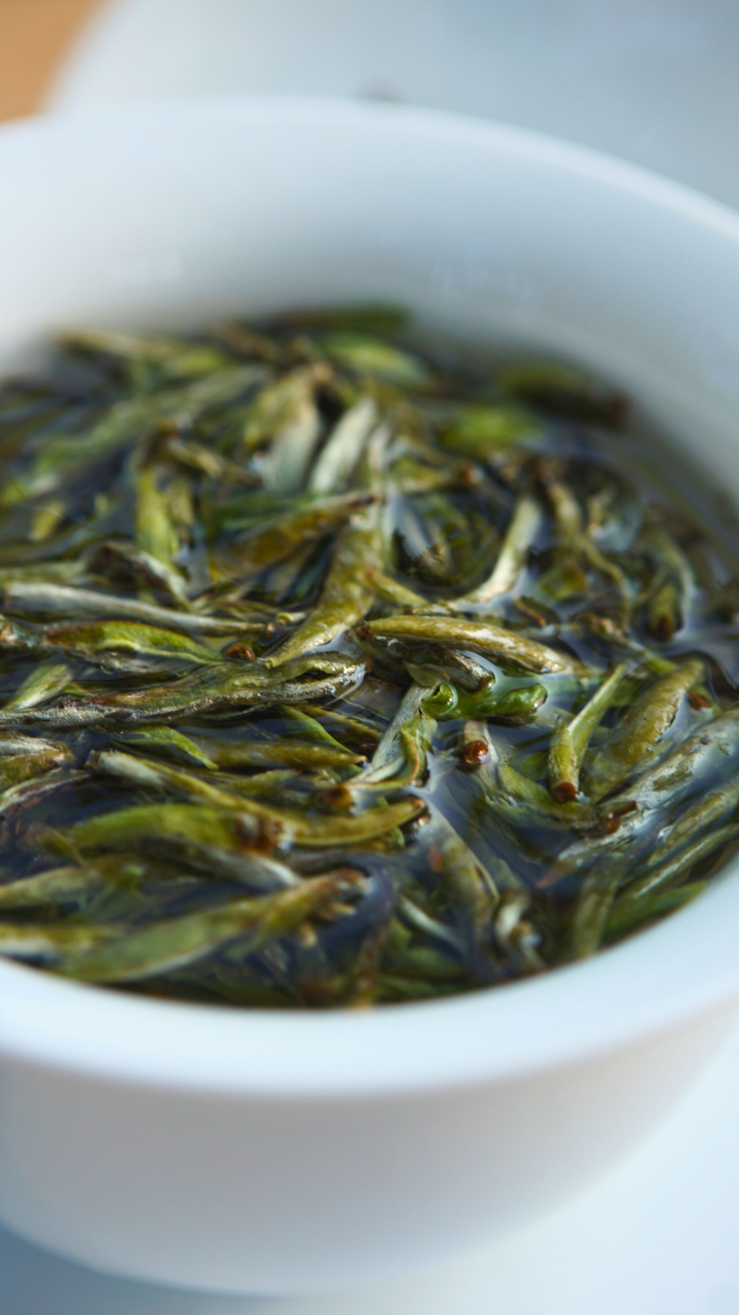 灌阳高山老茶树白毫银针