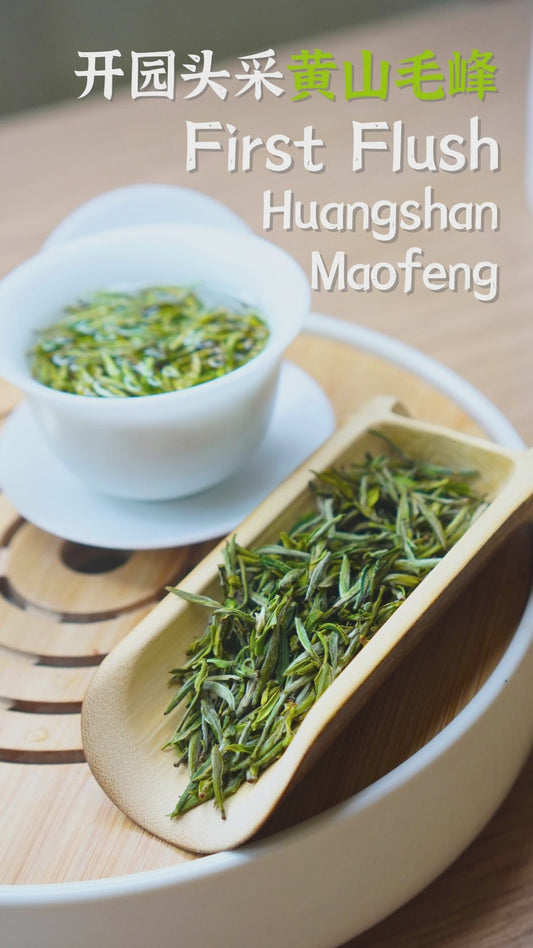 First Flush Huangshan Maofeng