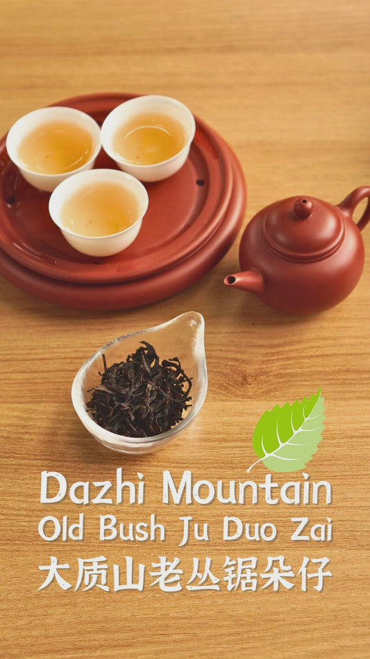 石鼓坪老布什菊多哉
