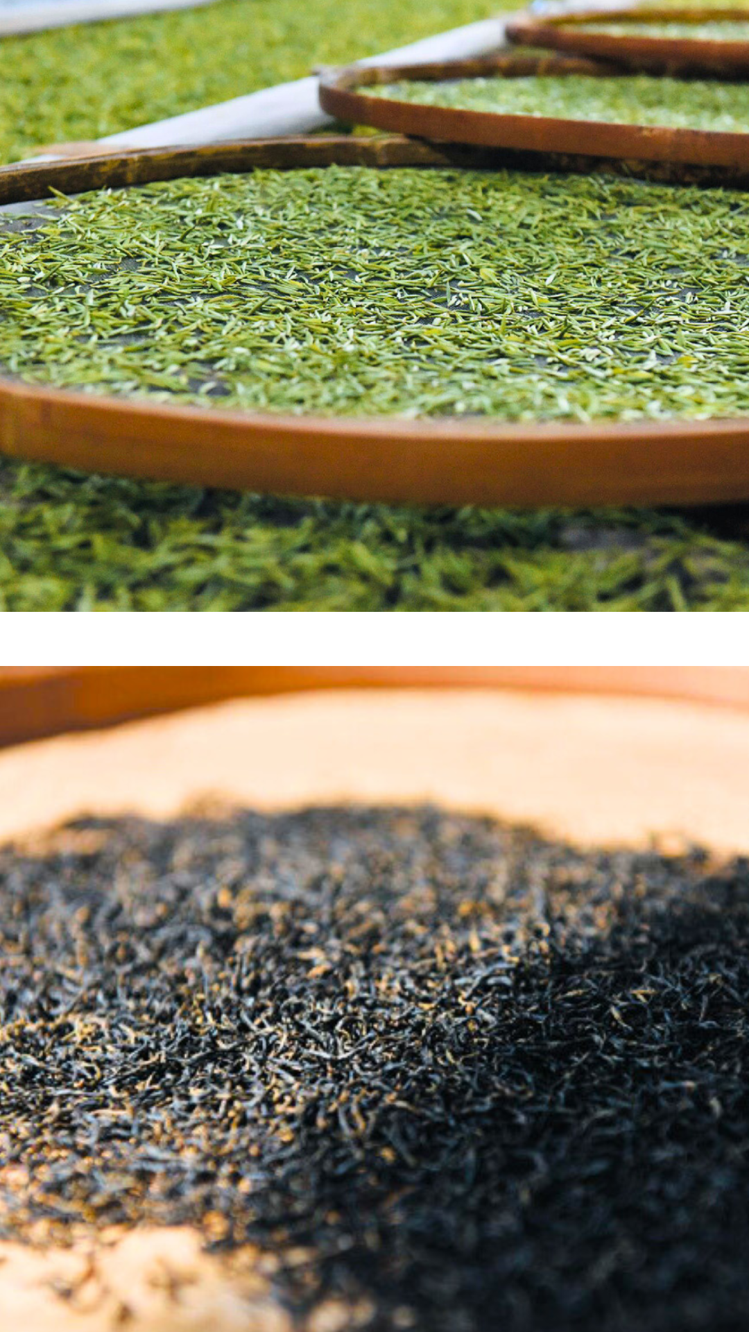 Ping Cun Yihong Gongfu Black Tea